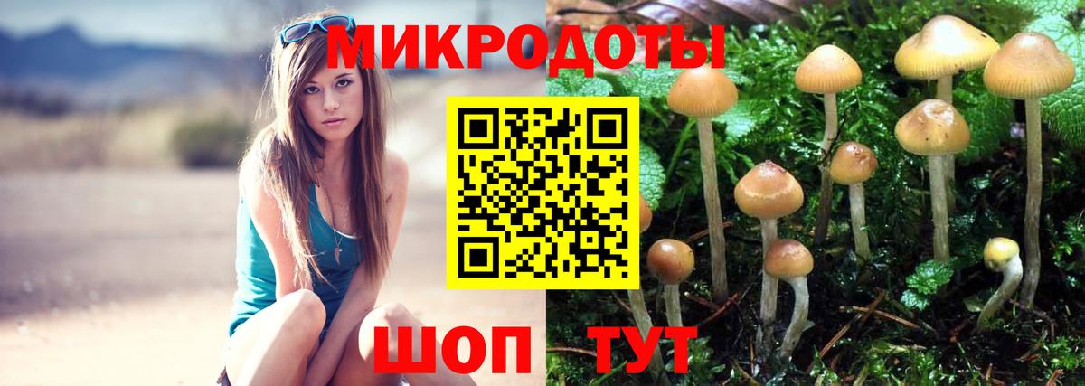 Бор  Псилоцибиновые грибы мухоморы  Вход с VPN 